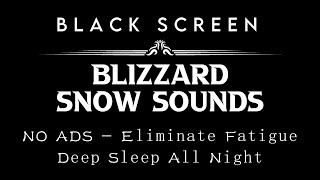 Black Screen Snowstorm Sounds  Howling Wind and Snow Storm Sounds for Sleep┇Blizzard Sounds [upl. by Laurette]