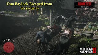 Red Dead Redemption 2  Duo Baylock Escaped from Strawberry RDR2 Badass Black Missouri Fox Trotter [upl. by Ponce22]