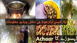 Lehsoory ka ichar kesy teyar hota haiachaarrecipe अचार कैसे बनता है इस वीडियो को पूरा देखें☝ [upl. by Ecinrev]