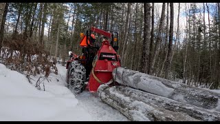 Logging In Maine With A Skidding Winch And A Compact Tractor [upl. by Eillor]