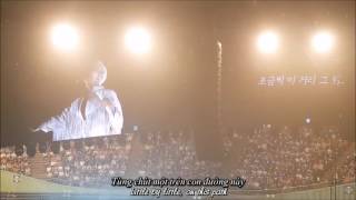 Vietsub Snow Flower  Park Hyo Shin 161009 Concert I am A Dreamer [upl. by Bertsche887]