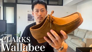 【Clarks】近年流行ってるワラビー買ってみたら良すぎて沼にハマりました【Wallabee  クラークス】 [upl. by Herrmann]