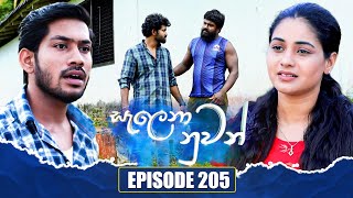 Salena Nuwan සැලෙනා නුවන්  Episode 205  17th November 2024 [upl. by Beale651]