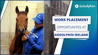 🇮🇪 Godolphin Ireland work experience opportunities [upl. by Garrity]