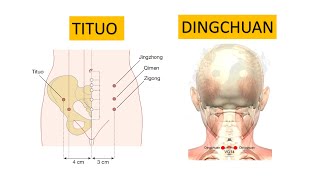 TITUO LIFT AND SUPPORT EXCA DINGCHUAN CALM DYSPNEA EXB1 [upl. by Phippen]