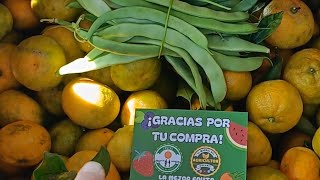 ¡Mi PRIMER PEDIDO de FRUTA ONLINE 🍊🛜elmanualdelagricultor frutaselmanualdelagricultor agicultura [upl. by Aennaej483]