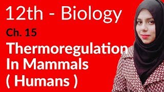 2nd Year Biology Ch 15  Thermoregulation In Mammals Humen  FSc Biology Book 2 [upl. by Carlo346]