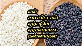 Ellu benefits Tamil  Ellu benefits in tamil  ellu benefits  Tamil Samayal Madurai  health tips [upl. by Loris]