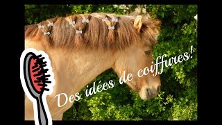 Idées de coiffures pour chevalponey TUTO n°2 [upl. by Conlan174]