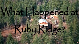 The Ruby Ridge Incident  A Bite Sized Breakdown  Stories from The Grey [upl. by Cosetta]