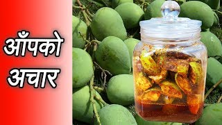 आँपको अचार  Mango Pickle  Aap ko Achaar  नेपालीमा [upl. by Kjersti280]