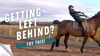 Horse Riding Lesson  Quick Tips To Improve Your Transitions [upl. by Kira]