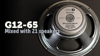 Celestion G1265 21 speakers Shootout [upl. by Ieppet604]