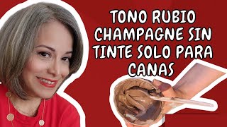 TONO RUBIO CHAMPAGNE SIN TINTES SOLO PARA CANAS [upl. by Malo967]