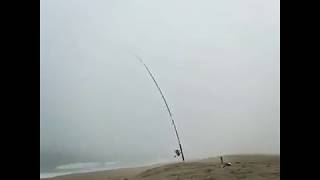 Una partenza incredibile a surf casting Rocket fish [upl. by Boj]