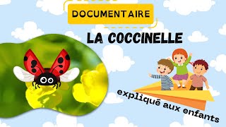 La coccinelle  Documentaire pour les enfants  Sciences ludiques 🍃Fiches GRATUITES à imprimer [upl. by Ellitnahc803]