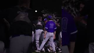 Baseball vs Saint Francis CLT Championship  Field Level Highlights [upl. by Aivila]