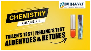 Fehling Test  Tollens Test  Aldehydes amp Ketones  CBSE XII Chemistry  NEET JEE Preparation Video [upl. by Ahsilahk955]