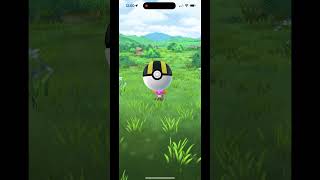 Shiny mudkip Pokemon go pokemongo shinypokemon mudkip [upl. by Haff984]