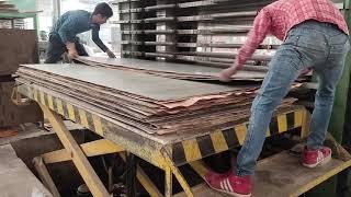 PLYWOOD FACTORY plywood plywood companiAsia No1 ply wood industry [upl. by Kamilah]