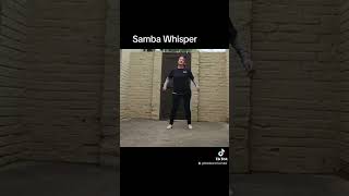 Line Dance Demo Samba Whisper [upl. by Egin]