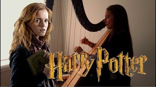 Harry Potter  Harry and Hermione Harp Cover [upl. by Bayard]