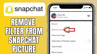 How To Remove Filter From Snapchat Picture [upl. by Eudocia]