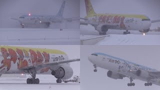 231230 旭川空港 エア・ドゥ AIRDO Boeing 767300ER JA607A Arrival amp Departure at Asahikawa Airport RJEC [upl. by Funch683]