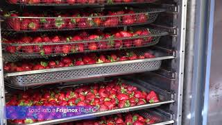 Friginox  How to blast freeze Strawberries [upl. by Latrice]