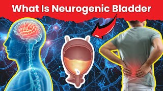 What is Neurogenic Bladder Causes and Symptoms [upl. by Isbel513]