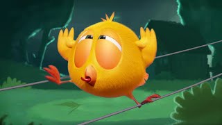 The garden  Wheres Chicky  Cartoon Collection in English for Kids  New episodes [upl. by Enelam]