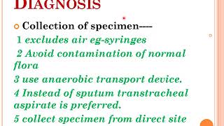 lab diagnosis of Anaerobes [upl. by Nehgaem697]