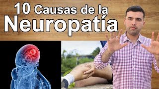 10 Causas de la Neuropatía [upl. by Tnarg]