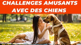 Challenges Amusants avec des Chiens Vous et le chien ensemble [upl. by Theta]