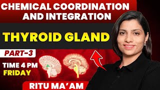 Thyroid Gland  Chemical Coordination and Integration Detailed class 03  Ritu Rattewal [upl. by Ergener246]