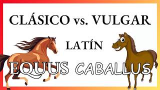 VOCABULARIO del latín CLÁSICO y VULGAR diferencias EvoluciónEspañol [upl. by Enyrhtac]