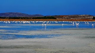 Lemnos Greece Asprolimni  AtlasVisual [upl. by Ettelocin]