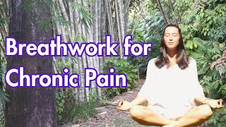 Soothe Your Nervous System amp Chronic Pain  Breathwork Session [upl. by Imef]