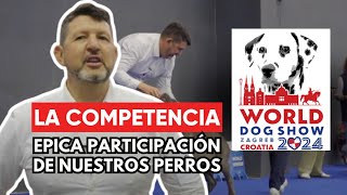 Epica Participación de Nuestros perros en La Gran Mundial Canina 2024 [upl. by Airamesor834]