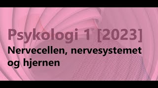 Psykologi 1  Nerveceller nervesystemet og hjernen [upl. by Kcirdneked]