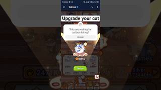 UPGRADE YOUR CAT TO EARN MORE COINS [upl. by Oluas]