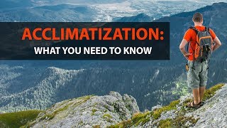 Acclimatization What You Need to Know [upl. by Eelaras]