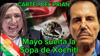 Se confirma que Xochitl Gálvez participó en Narco Campaña Política [upl. by Ahsennod456]