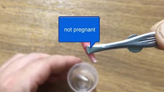 home pregnancy test ✔️ pregnancy test with an ear swab [upl. by Nodnab]