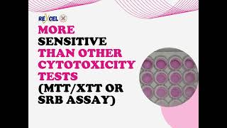 Neutral Red Uptake Assay NRU More sensitive than other cytotoxicity tests MTTXTT OR SRB assay [upl. by Gnet]