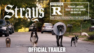 Strays  Official Fing Trailer HD [upl. by Llehsam181]