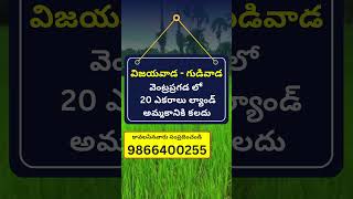 Land for Sale in Ventrapragada  Gudivada  Vijayawada  9866400255 shorts viral krishnadistrict [upl. by Appolonia]