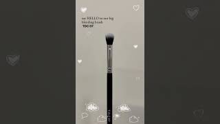 THE DRUGSTORE COMPANY  MAKEUP BRUSHES  FOUNDATION BRUSH  BLUSH BRUSH  HIGHLIGHTER BRUSH  BRUSH [upl. by Amzu476]