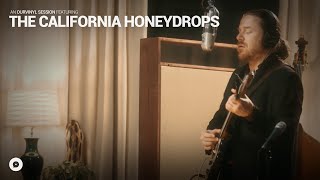 The California Honeydrops  Trying to Live My Life Without You  OurVinyl Sessions [upl. by Ainej]