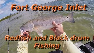 Fort George Inlet redfish and black drum fishing [upl. by Opportuna318]